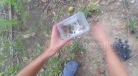 Survival/Camping Life Hack - How to turn dirty water in drinkable with charcoal and gravel!