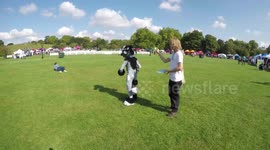 Pup Aid