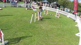 Kimberley Garner completes race with dog at Pup Aid event