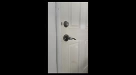 Dog opens door to let himself out