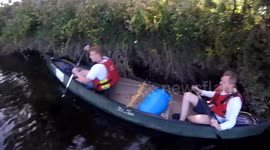 Good samaritans rescue sheep stuck in river in Wales