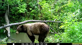 pond sharing 8Aug2017