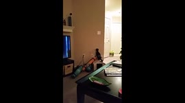 Life Hack: Cat Turns off Light with Laser Pointer