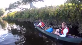 Good samaritans rescue sheep stuck in river in Wales
