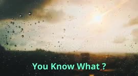 You Know What ? Fact#1