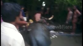 Video 3: Chained elephant makes a dash for freedom, gets stuck in swamp – rescued