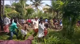 Video 2: Chained elephant makes a dash for freedom, gets stuck in swamp – rescued