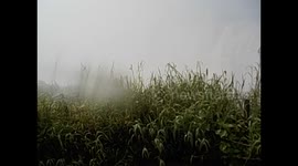 Zimbabwe. Zimbabue. Victoria Falls (7) Like rainning. Narrado. 2016
