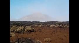 España. Spain. Tenerife. Parque Nacional El Teide. Entrance El Portillo. vegetation and peak views 360º. 2016