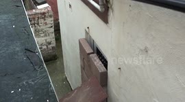 neighbour from hell