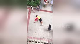 Man picking fight with MMA coach ends up twitching on ground