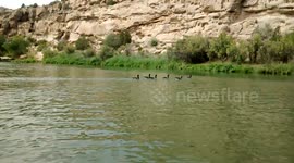 Fly Fishing the Quality Waters of the San Juan River