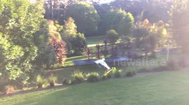 Cockatoo flying into sunlight