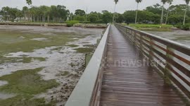 Hurricane Irma drains Florida beach