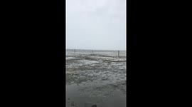 Hurricane Irma Safety Harbor FL