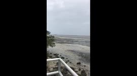 Hurricane Irma