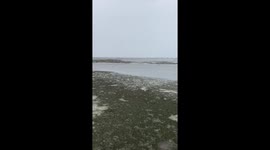Hurricane Irma