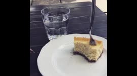 Berlin bird eats cake