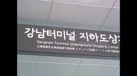 South Korea. Corea del Sur. Seúl. Seoul III. Gangnam Terminal Underground Shopping Center. 2015 (2)