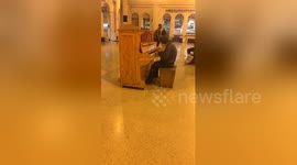 Newsflare Edit - Brighton piano player