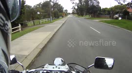 driver pulls out without looking