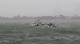 Dolphins try to resist Hurricane Irma while boats crashes in Miami harbour