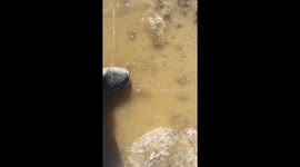 Ice cracking