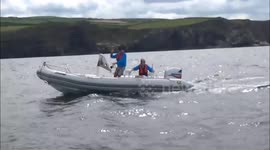 Boscastle Gig Race 2017