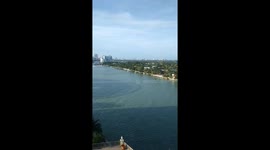 Miami Beach after Irma (Portrait)