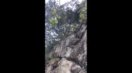 Cool bush Cliff jump