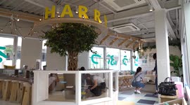Otter and Chinchilla cafe