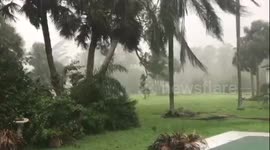 Hurricane IRMA Destroys Trees