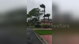 Newsflare Edit - Hurricane Irma - Doral, FL CAR GETS DEMOLISHED BY TREE