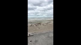 Matanzas Beach