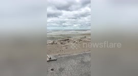 Newsflare Edit - Matanzas Beach