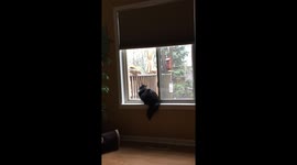 Friendly Squirrel and Lucy