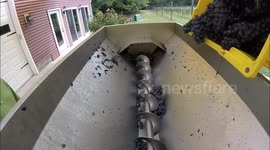 Grape Machine