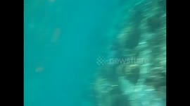 Philippines. Palawan. Filipinas. Bacuit archipelago. El Nido (4) Underwater video, coral and nororas . 2015