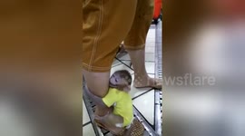 Newsflare Edit - 浙江舟山:小猴子抱着主人腿逛商场