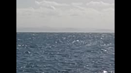 Madagascar. Sainte Marie island. 2015 (3) Sighting whale from the dock