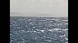 Madagascar. Sainte Marie island. 2015 (4) Sighting whale from the dock