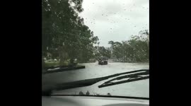 @CNN thanks for the coverage.  Wanted to share koi fish swimming on our flooded street in Mlb FL. #hurricaneIrma https://t.co/kBsCLWvG9w