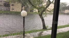 Hurricane Irma Tamarac FL
