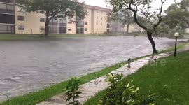 Florida resident films flooding and wreckage after Hurricane Irma