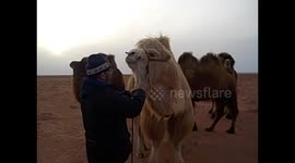 Mongolia. Gobi Tour. Day 4 (1) Desert views and saddle camels. 2015