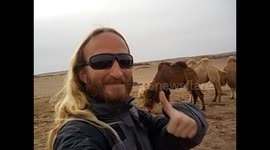 Mongolia. Gobi tour. Day 5 (4) Selfie 360º degrees surround by camels. 2015