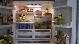 Best Fridge Odor Absorber - Remover, Eliminator, Free!