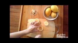 Detergente Loica Caseiro com Limao | Lemon Homemade Dishwasher Detergent