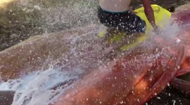 Ultimate Waterslide - Original