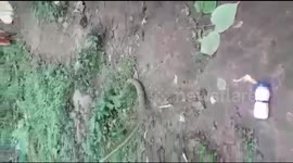 Hungry cobra made to spit out plastic bottle it had swallowed